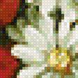 Предпросмотр схемы вышивки «маки» (№1462550)