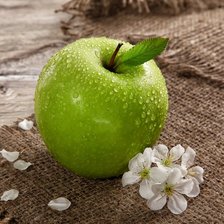 Схема вышивки «яблко»