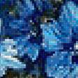 Предпросмотр схемы вышивки «васильки» (№1464114)