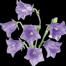 Схема вышивки «Колокольчики для НН»