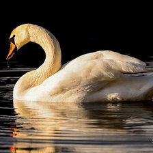Схема вышивки «№1465720»