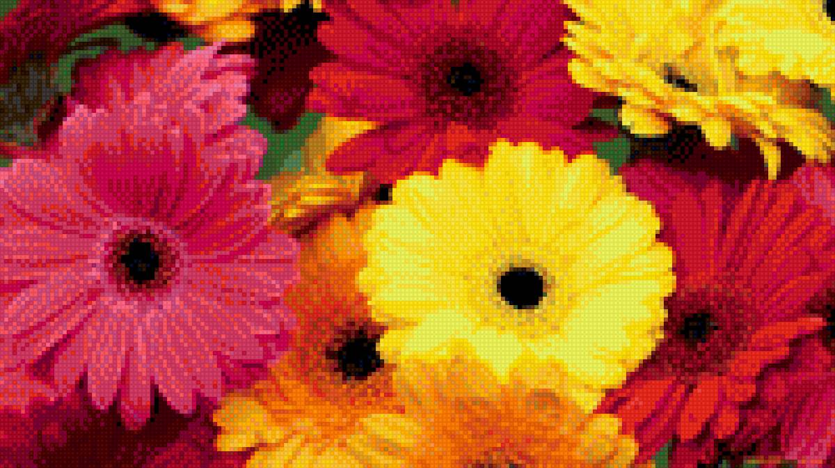 Герберы - яркий букет, цветы, герберы - предпросмотр