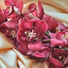 Схема вышивки «№1466175»