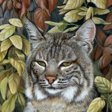 Схема вышивки «кошечка»