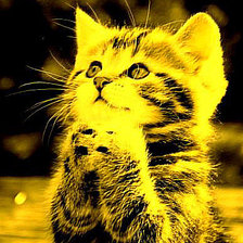 Схема вышивки «котенок»