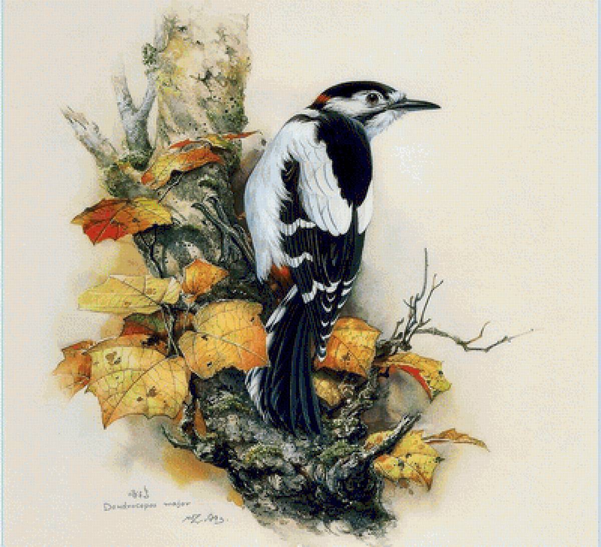 №1467922 - предпросмотр