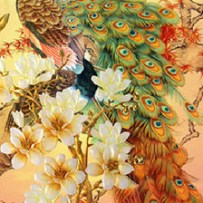 Схема вышивки «Павлины»