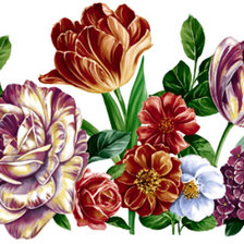 Схема вышивки «№1468619»