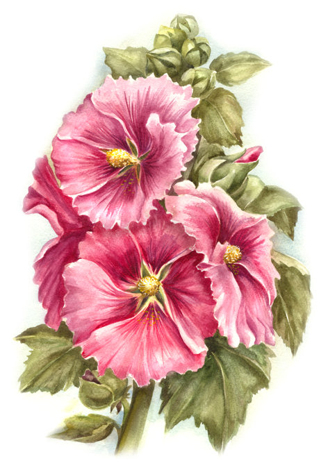 №1468648 - цветы - оригинал