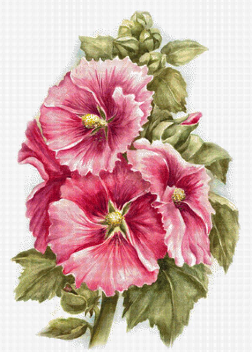 №1468648 - цветы - предпросмотр