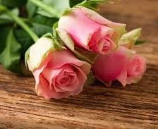 Схема вышивки «розы»