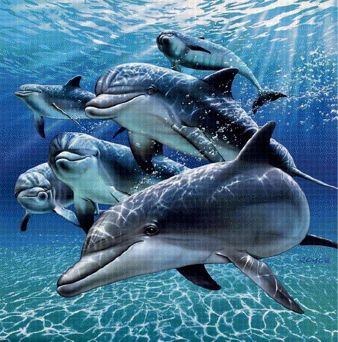 Водный мир - дельфины, арт, мир, семья, животное, море - предпросмотр