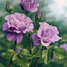 Схема вышивки «Сиреневые розы»