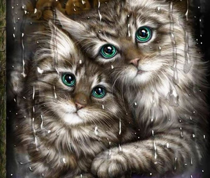 Мир животных - пара, семья, арт, животное, кот, кошка - оригинал