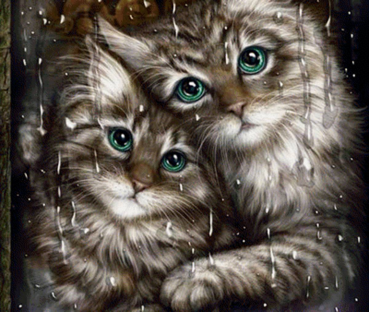 Мир животных - арт, животное, кот, семья, пара, кошка - предпросмотр