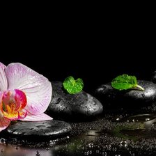 Схема вышивки «Орхидея»