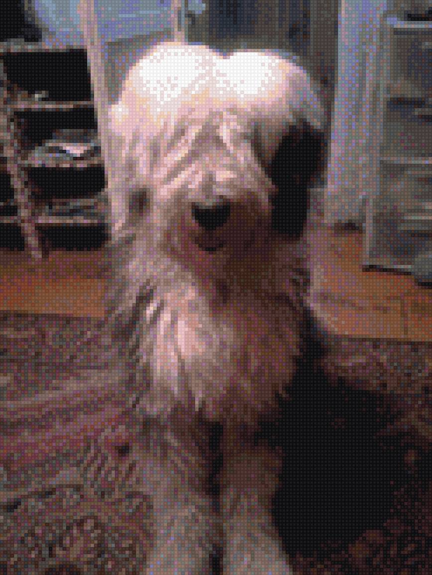 Ставр - бобтейл, дома., собака - предпросмотр