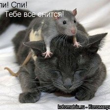 Схема вышивки «спи, спи»