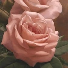 Схема вышивки «Розы вертикальные»