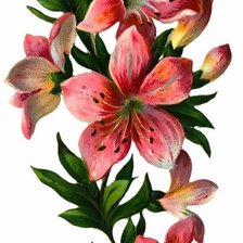 Схема вышивки «Лилии вертикальное»