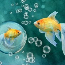 Схема вышивки «Золотая рыбка»