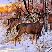 Схема вышивки «№1472236»