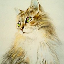 Схема вышивки «Кот»