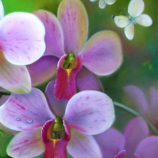 Схема вышивки «Орхидея для подушки 2»