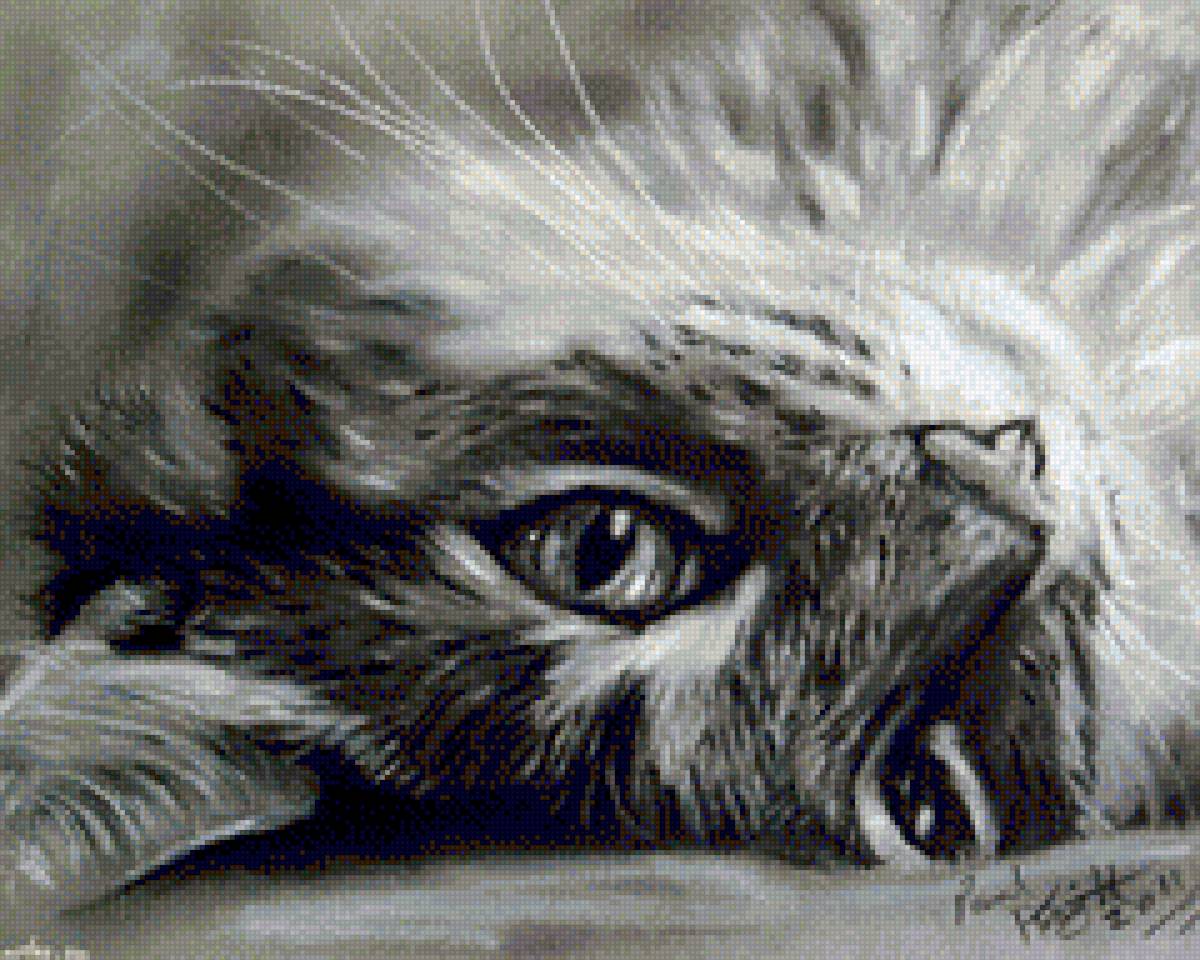 котик - кот котик кошки - предпросмотр