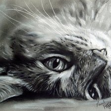 Схема вышивки «котик»