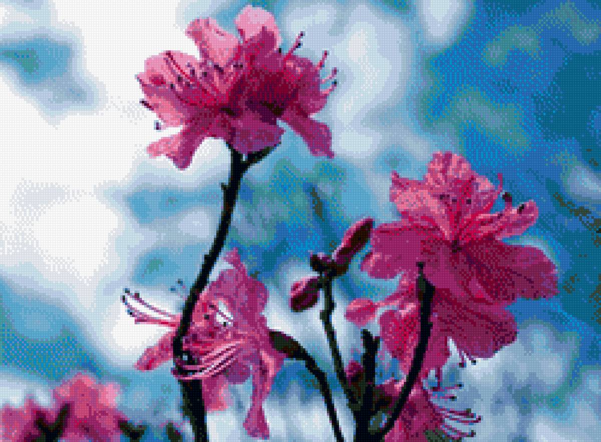 багульник - предпросмотр