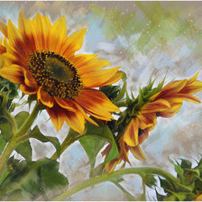 Схема вышивки «№1473730»