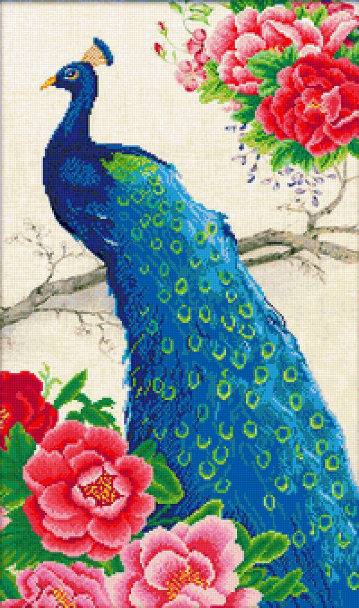 PAUN-1 - pauni - предпросмотр