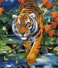 Схема вышивки «TIGUR»