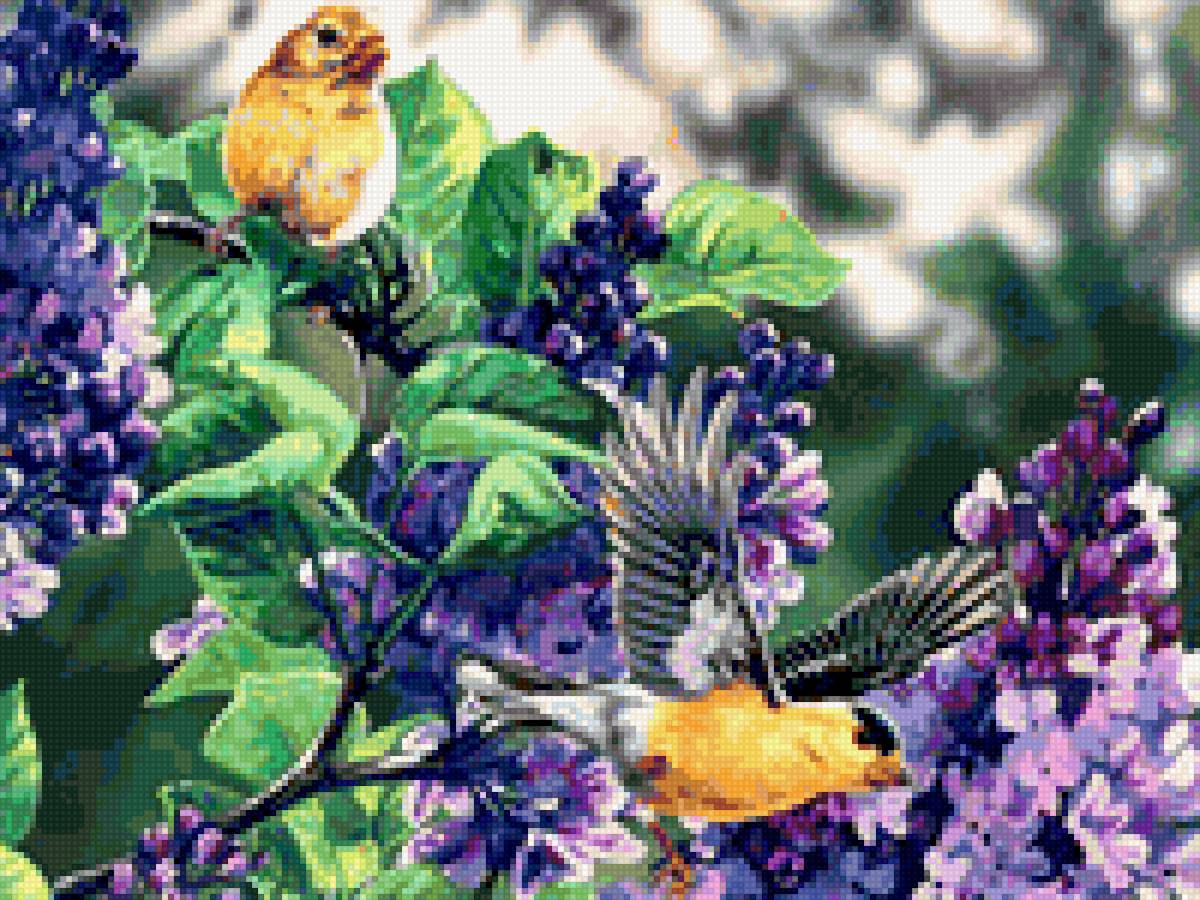 CVETQ-1 - cvetq - предпросмотр