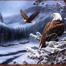 Схема вышивки «полет орла»