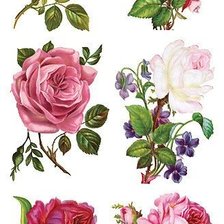 Схема вышивки «№1475281»