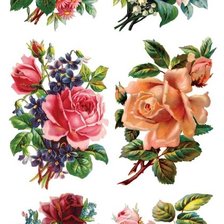 Схема вышивки «№1475283»