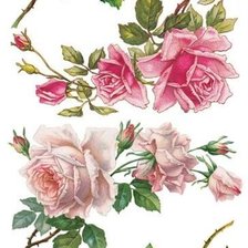 Схема вышивки «№1475285»