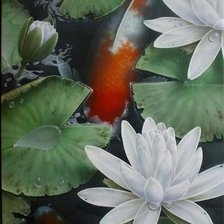 Схема вышивки «карп в пруду»