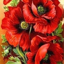 Схема вышивки «маки»