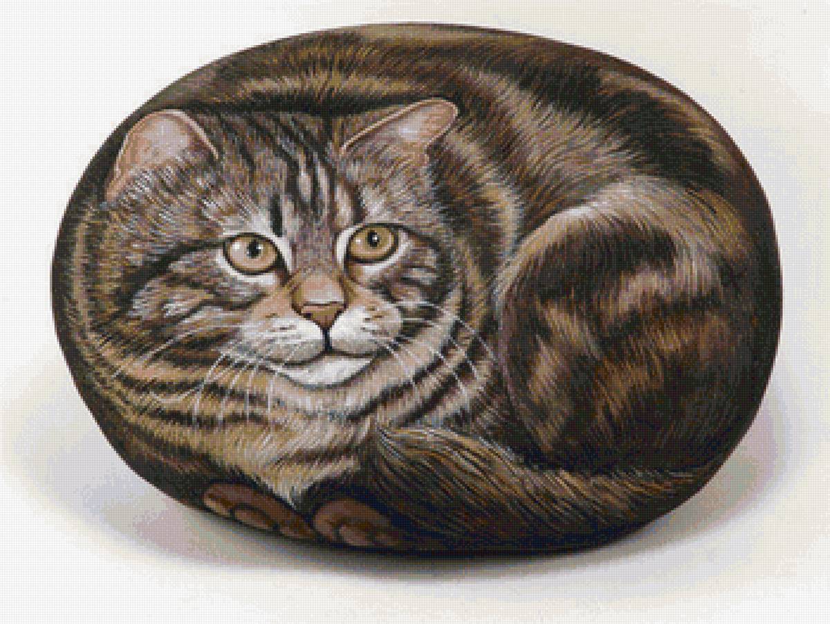 кот-подушка - кот, подушка - предпросмотр