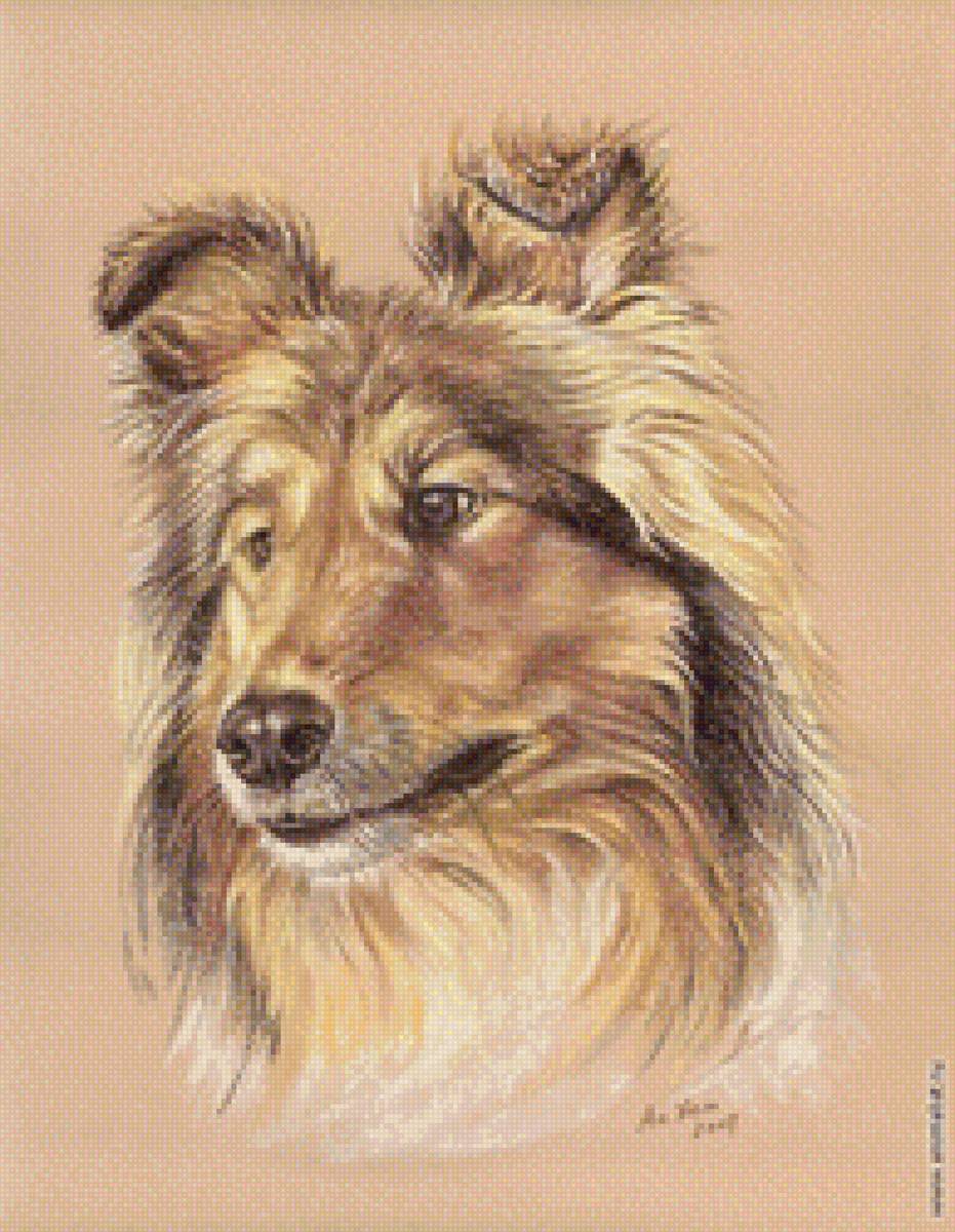 Собака - собака - предпросмотр