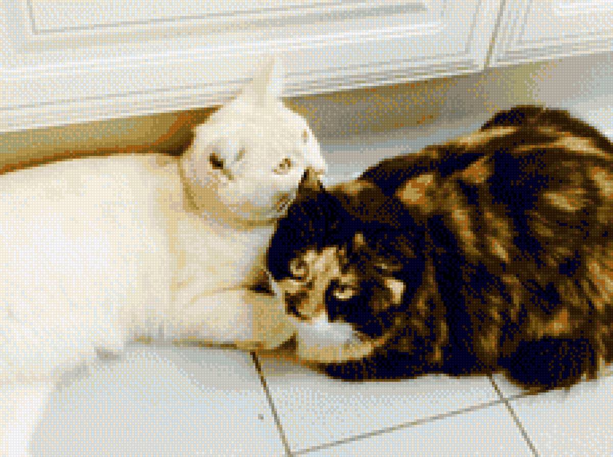 Неразлучная пара - дружба, коты - предпросмотр