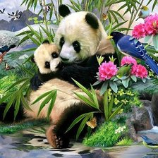 Схема вышивки «пандочки»