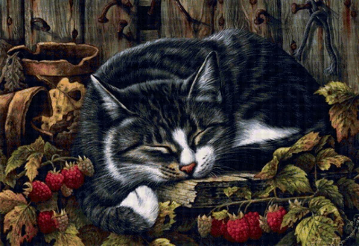 спящий котик - животные, котята - предпросмотр