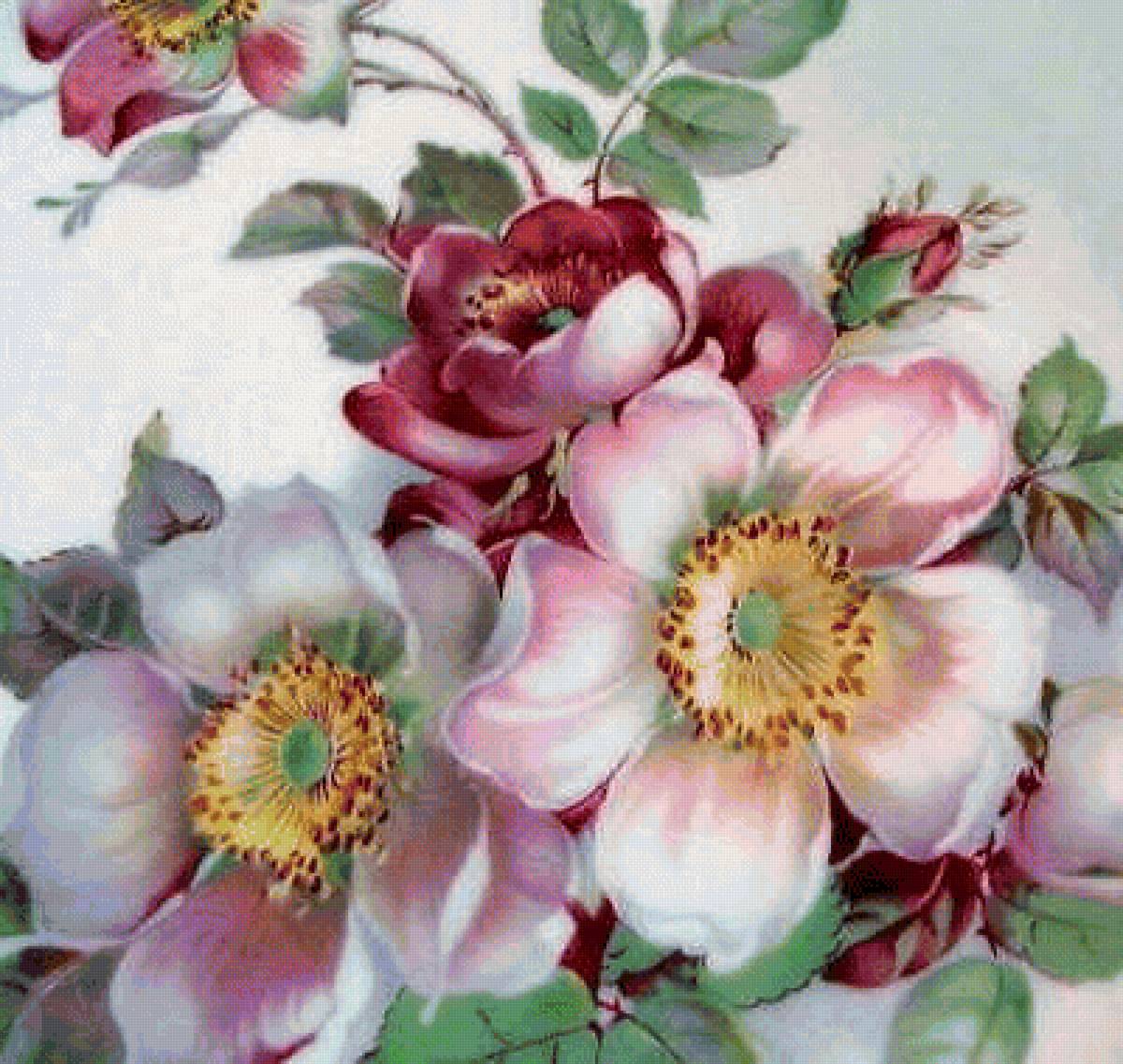 шиповник - композиция, цветы, розы - предпросмотр