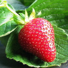 Схема вышивки «Клубника»