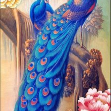 Схема вышивки «павлины в цветах»