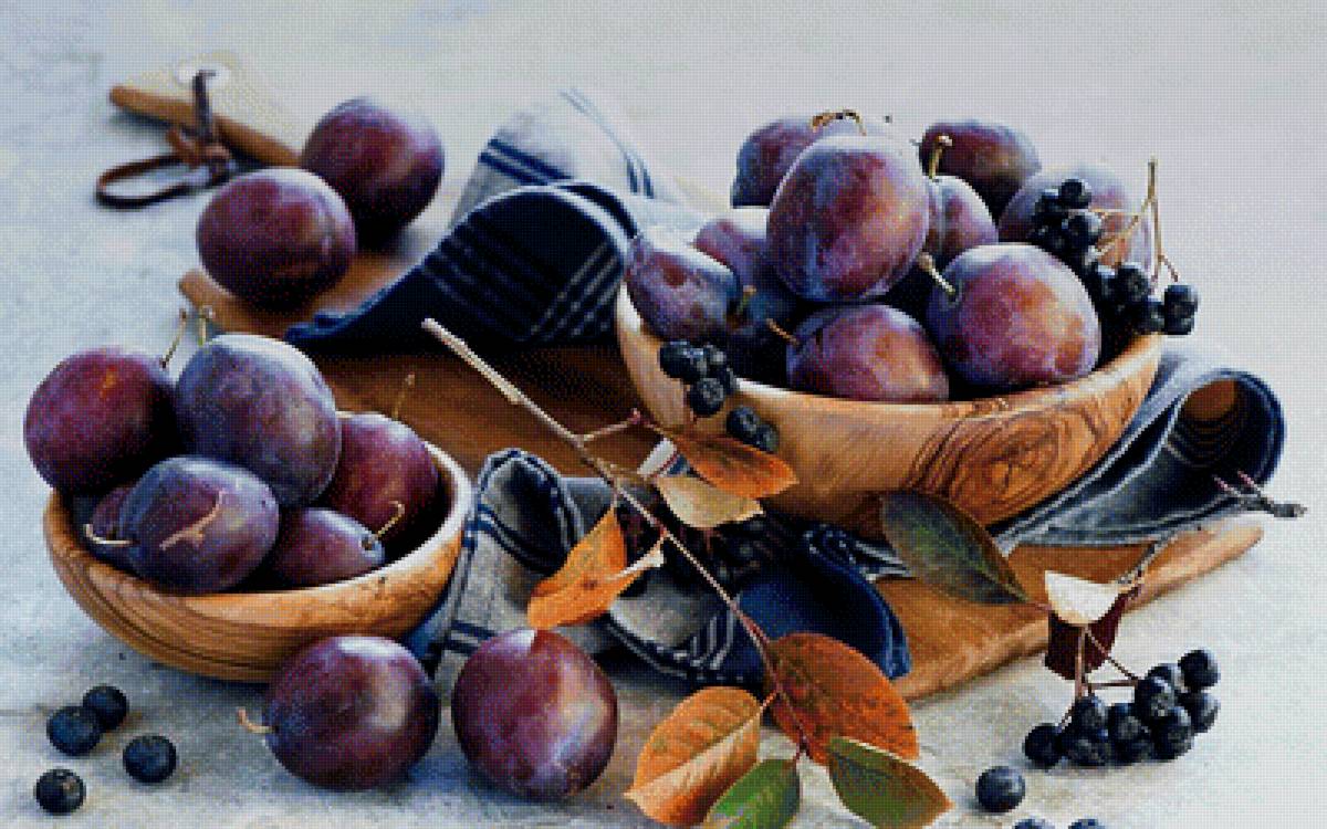 Натюрморт сливы - натюрморт вышивка крестом - предпросмотр